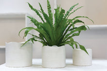 Cargar imagen en el visor de la galería, Base
