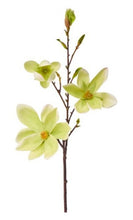 Cargar imagen en el visor de la galería, Magnolia

