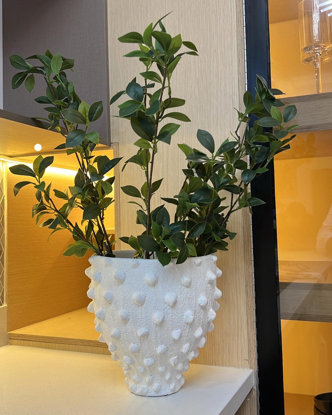 Base magnolia